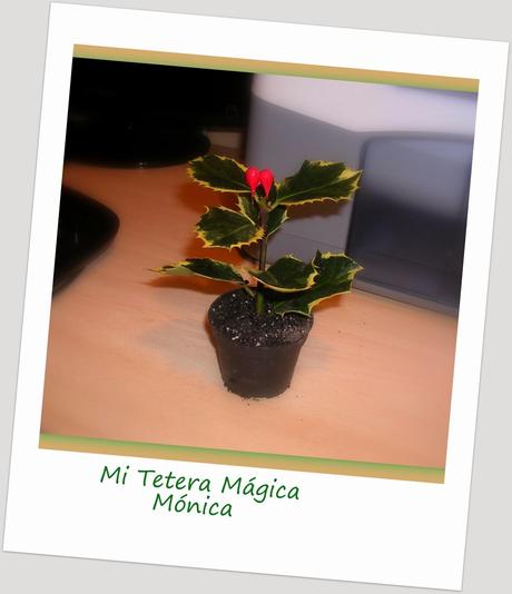 Cestos de trapillo... mi nueva debilidad!!! Cestos de trapillo... mi nueva debilidad!!!