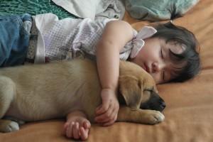 perro-y-bebé-duemiendo
