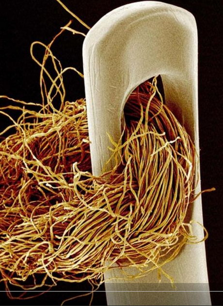 La belleza de lo minúsculo: 24 objetos cotidianos vistos bajo el microscopio La belleza de lo minúsculo: 24 objetos cotidianos vistos bajo el microscopio