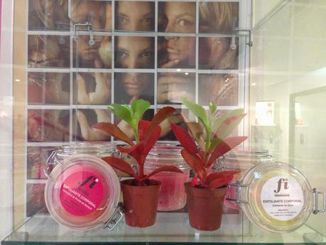 FRESH INDULGENCE, BRONCEADO SIN SOL FRESH INDULGENCE, BRONCEADO SIN SOL