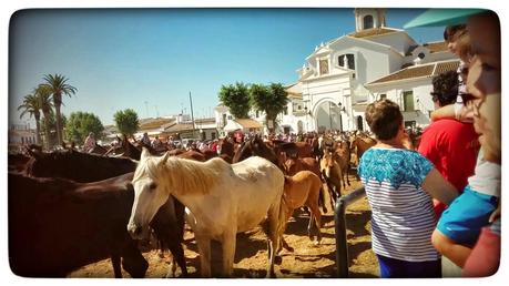 Un día en las carreras