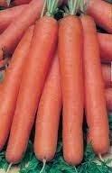 Cómo cultivar zanahorias