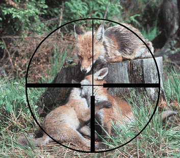 La caza ¿una actividad sostenible y necesaria?