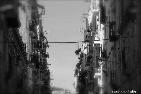 Hoy compartimos: Ventanas, terrazas y jardines Hoy compartimos: Ventanas, terrazas y jardines