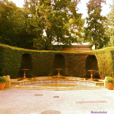 Hoy compartimos: Ventanas, terrazas y jardines Hoy compartimos: Ventanas, terrazas y jardines