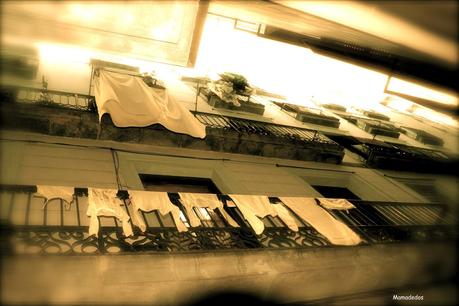 Hoy compartimos: Ventanas, terrazas y jardines Hoy compartimos: Ventanas, terrazas y jardines