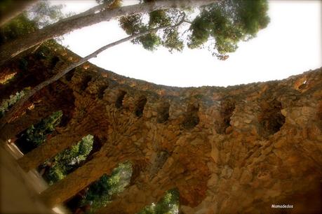 Hoy compartimos: Ventanas, terrazas y jardines Hoy compartimos: Ventanas, terrazas y jardines