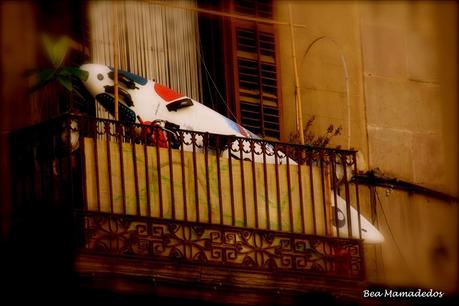 Hoy compartimos: Ventanas, terrazas y jardines Hoy compartimos: Ventanas, terrazas y jardines