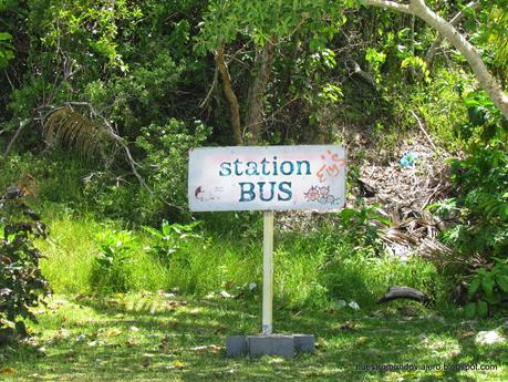 Lifou; entre el cielo y la tierra Lifou; entre el cielo y la tierra