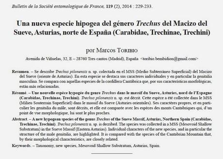 Nuevo coleóptero carábido hipogeo en España Nuevo coleóptero carábido hipogeo en España
