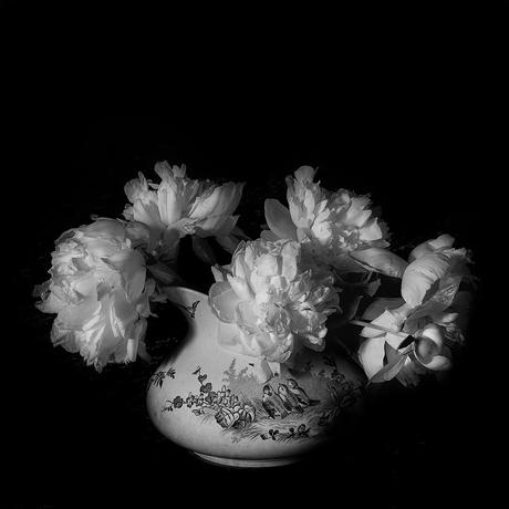 Toni Catany catany-lopez-linares