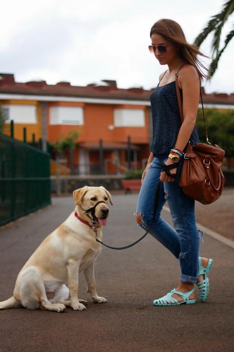 Bye, bye June Bye, bye June