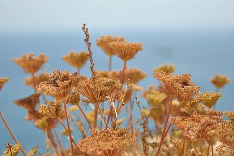 Ibiza trip. Part I Ibiza trip. Part I