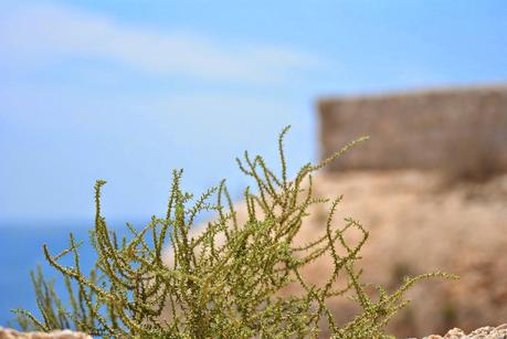 Ibiza trip. Part I Ibiza trip. Part I