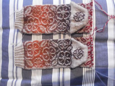 Swapetines (IV), viendo la luz al final de la puntera Swapetines (IV), viendo la luz al final de la puntera