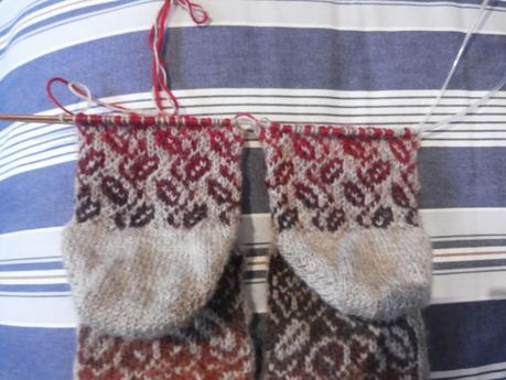 Swapetines (IV), viendo la luz al final de la puntera Swapetines (IV), viendo la luz al final de la puntera