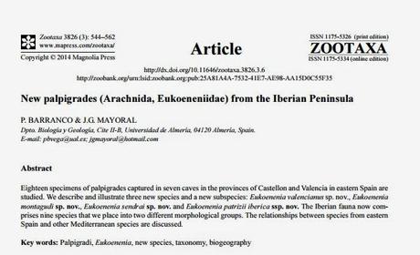 Nuevas especies de Palpígrados en cuevas de ESPAÑA Nuevas especies de Palpígrados en cuevas de ESPAÑA
