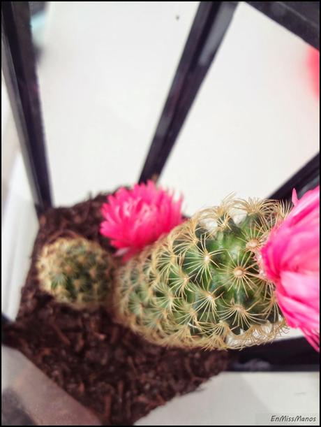 Un farol en el recibidor Un farol en el recibidor