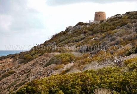 Vía Verde del Mar, entre Oropesa y Benicàssim