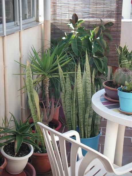 La creatividad, el 2013 y el taller con flores La creatividad, el 2013 y el taller con flores