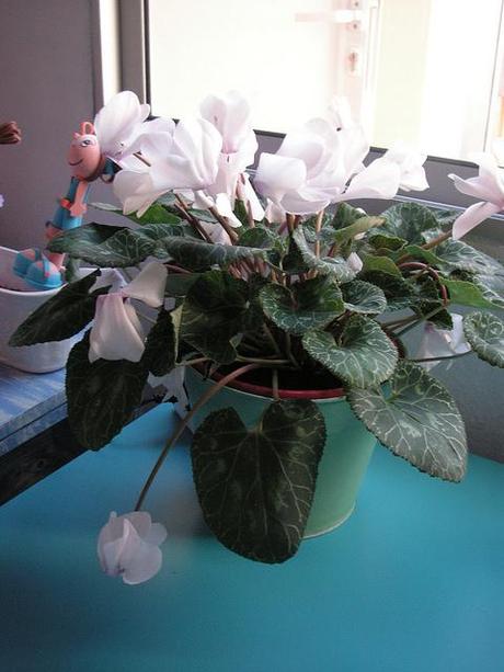 La creatividad, el 2013 y el taller con flores La creatividad, el 2013 y el taller con flores