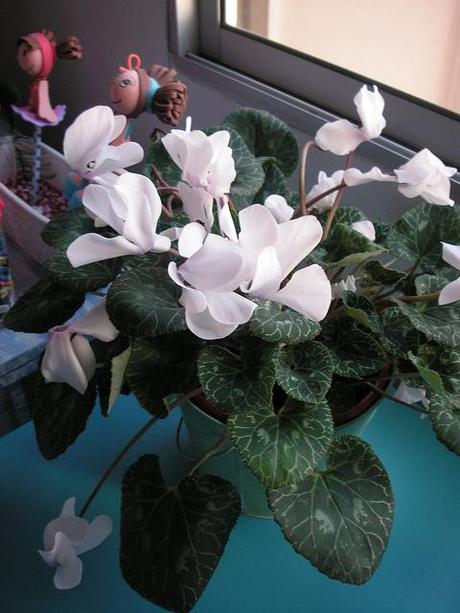 La creatividad, el 2013 y el taller con flores La creatividad, el 2013 y el taller con flores