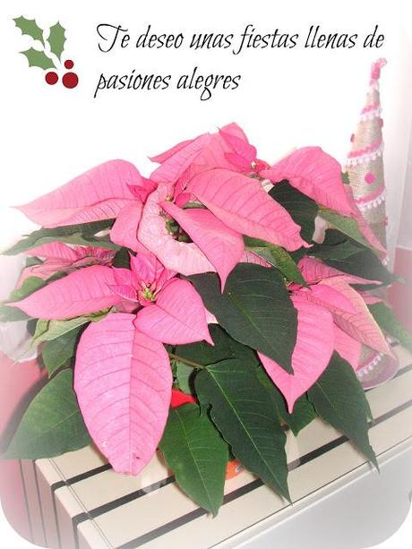 ¡Felices fiestas! ¡Felices fiestas!