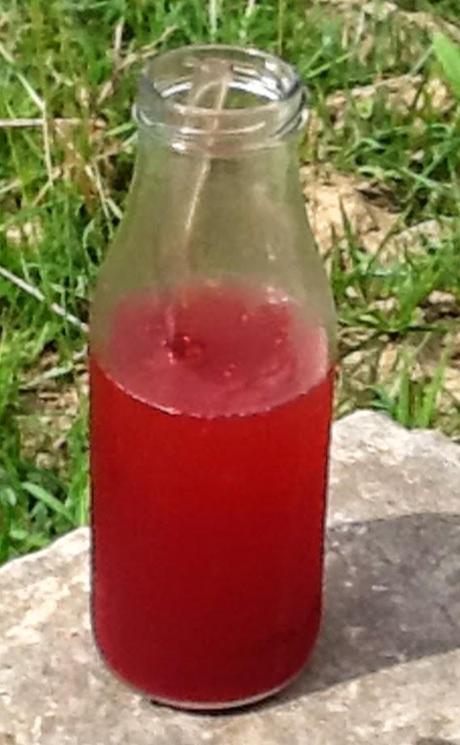 ZUMO PROBIOTICO Y ANTIOXIDANTE ZUMO PROBIOTICO Y ANTIOXIDANTE