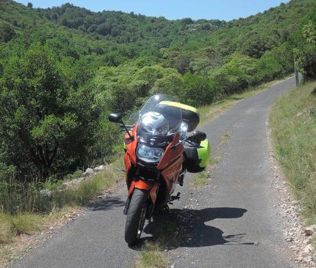 Viaje a ninguna parte. Perdido en el monte. Rosaura en el camino asfaltado, en medio del espeso monte.