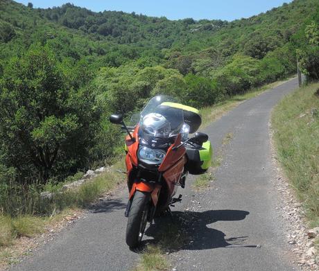 Rosaura en el camino asfaltado, en medio del espeso monte.