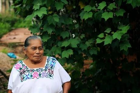 Uxmal, cenotes and more Uxmal, cenotes and more