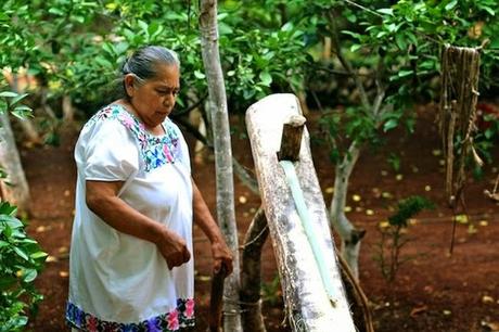 Uxmal, cenotes and more Uxmal, cenotes and more