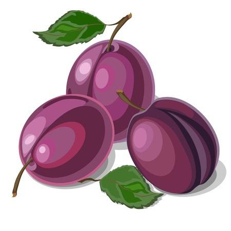 El tesoro de las ciruelas. prunus