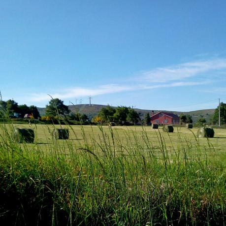 Instaweek 6/August Instaweek 6/August