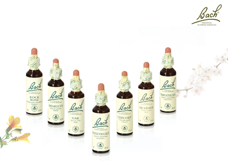 Flores de Bach: equilibra tus emociones Flores de Bach: equilibra tus emociones