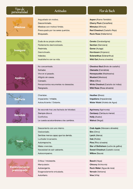Flores de Bach: equilibra tus emociones Flores de Bach: equilibra tus emociones