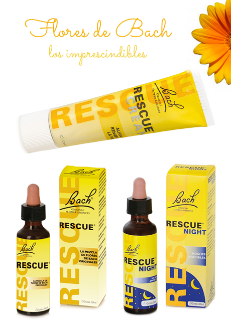 Flores de Bach: los imprescindibles Flores de Bach: los imprescindibles