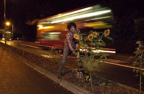 Guerrilla gardening