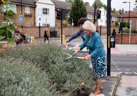 Guerrilla gardening