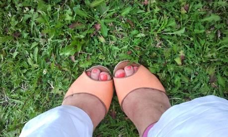 Básico de Verano Básico de Verano