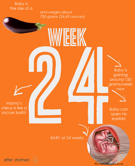 Semana 24 Embarazo | Week 24 Pregnancy