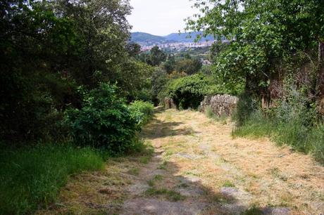 La vía romana que conduce al castro de Santomé.