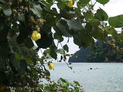 Kota Kinabalu y Parque Nacional Tunku Abdul Rahman Kota Kinabalu y Parque Nacional Tunku Abdul Rahman