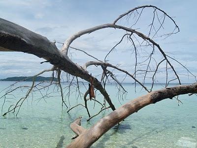 Kota Kinabalu y Parque Nacional Tunku Abdul Rahman Kota Kinabalu y Parque Nacional Tunku Abdul Rahman