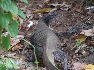 Kota Kinabalu y Parque Nacional Tunku Abdul Rahman Kota Kinabalu y Parque Nacional Tunku Abdul Rahman