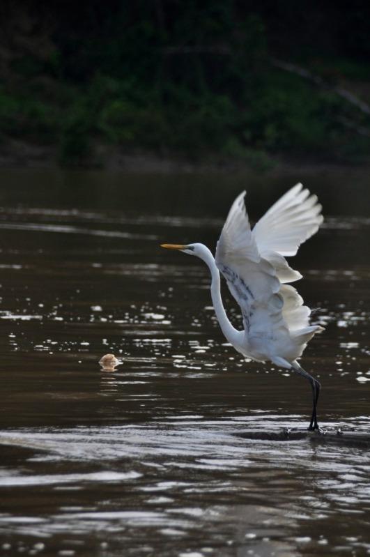 El río al amanecer – Segunda actividad