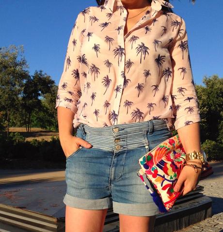 A SUMMER EVENING.- A SUMMER EVENING.-