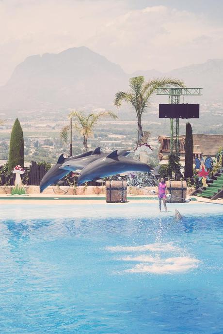 Vida animal Vida animal