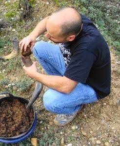 Vinoscopio una apuesta por los vinos de calidad a través del asesoramiento enólogico