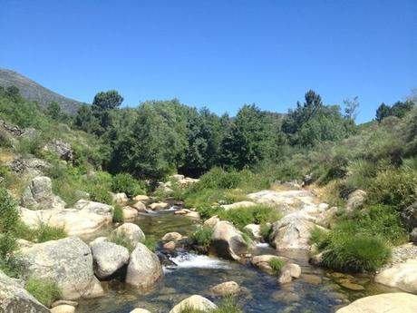 Entorno natural que rodea a los bosques: Río Jevero, Acebo, Cáceres, España